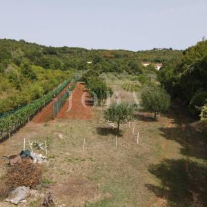 Poljoprivredno zemljište 27.800 m² sa starinom - Labin