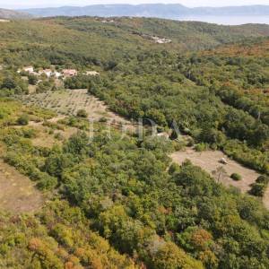 Poljoprivredno zemljište 27.800 m² sa starinom - Labin