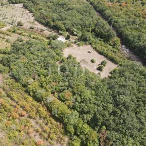 Poljoprivredno zemljište 27.800 m² sa starinom - Labin