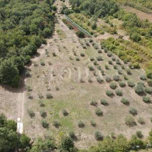 Poljoprivredno zemljište 27.800 m² sa starinom - Labin