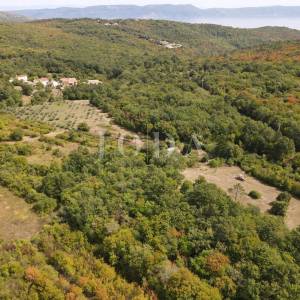 Poljoprivredno zemljište 27.800 m² sa starinom - Labin