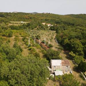 Poljoprivredno zemljište 27.800 m² sa starinom - Labin