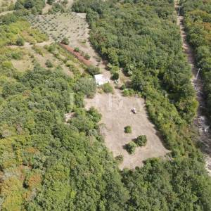 Poljoprivredno zemljište 27.800 m² sa starinom - Labin