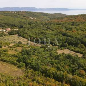 Poljoprivredno zemljište 27.800 m² sa starinom - Labin