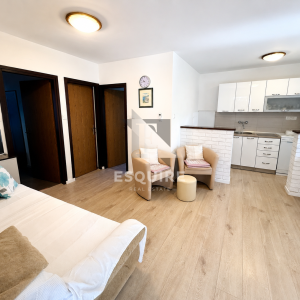 PRIVLAKA – ŠKRAPAVAC, namještena kuća s tri stana, 500 m od mora