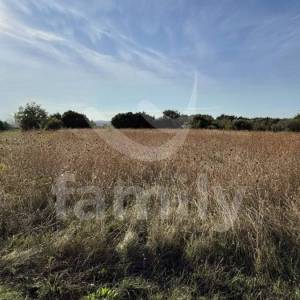 PRODAJA GRAĐEVINSKO ZEMLJIŠTE S POGLEDOM NA MORE KANFANAR ISTRA