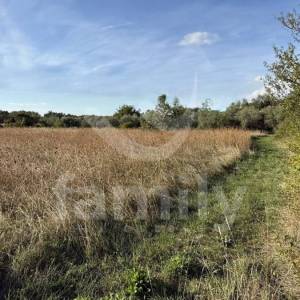 PRODAJA GRAĐEVINSKO ZEMLJIŠTE S POGLEDOM NA MORE KANFANAR ISTRA