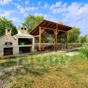 PRODAJA UREĐEN MASLINIK S KAŽUNOM I 200 MASLINA VODNJAN