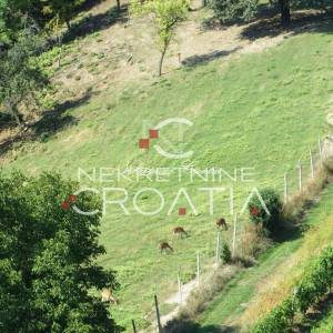 RAZNE POSLOVNE MOGUĆNOSTI!!!