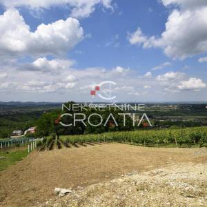 SALINOVEC, GRAĐEVINSKO