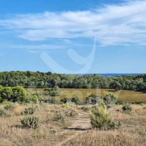 SAMO KOD NAS - ATRAKTIVNO ZEMLJIŠTE 280 M OD MORA – KAMENJAK