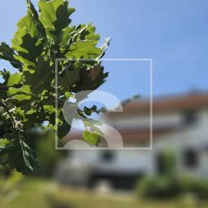 Samostojeća kuća, građevinsko zemljište 4204m2, Loborika