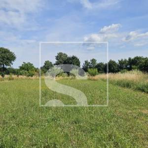 Samostojeća kuća, građevinsko zemljište 4204m2, Loborika