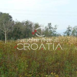 Stara ivonjska hiža