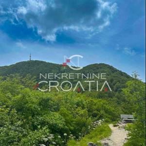 ŠUMA 11.142 m2, IVANŠČICA!