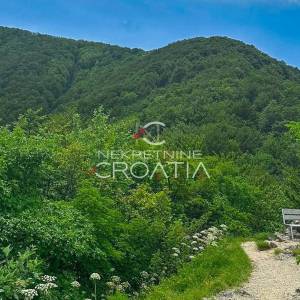 ŠUMA 11.142 m2, IVANŠČICA!
