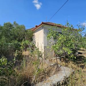 Sutomišćica, Ugljan I Samostojeća kuća 284 m² s okućnicom, blizu mora