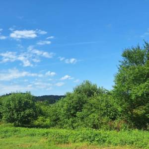 TUŠILOVIĆ- GRAĐEVINSKO-POLJOPRIVREDNA PARCELA, 7445 m2, 16 000 €