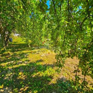 VARAŽDIN: kuća i zemljište 738 m² – Zona S4 (do 4 stana)