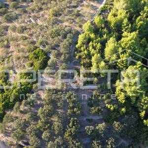 Vela Luka, Sokolić - 602 m2 s pogledom na more i 10 maslina
