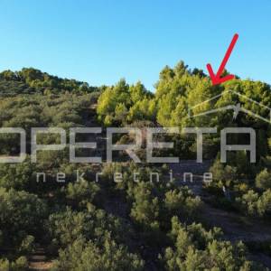 Vela Luka, Sokolić - 602 m2 s pogledom na more i 10 maslina