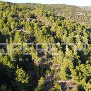 Vela Luka, Sokolić - 602 m2 s pogledom na more i 10 maslina
