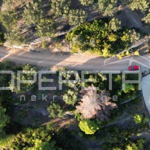 Vela Luka, Sokolić - 602 m2 s pogledom na more i 10 maslina