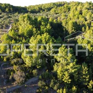Vela Luka, Sokolić - 602 m2 s pogledom na more i 10 maslina