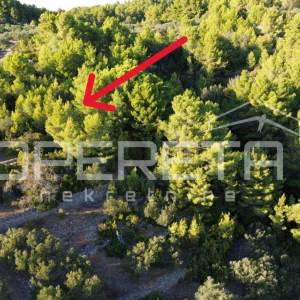 Vela Luka, Sokolić - 602 m2 s pogledom na more i 10 maslina