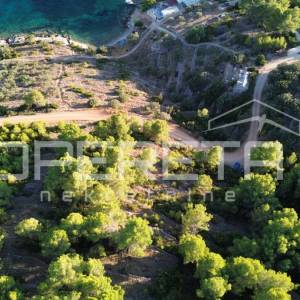 Vela Luka, Sokolić - 602 m2 s pogledom na more i 10 maslina