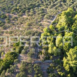 Vela Luka, Sokolić - 602 m2 s pogledom na more i 10 maslina