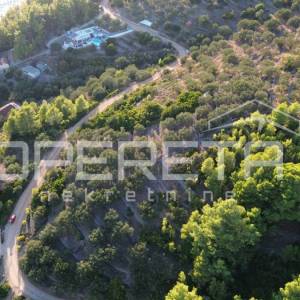 Vela Luka, Sokolić - 602 m2 s pogledom na more i 10 maslina