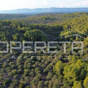 Vela Luka, Sokolić - 602 m2 s pogledom na more i 10 maslina