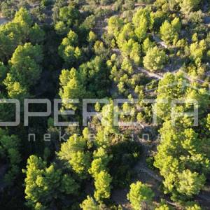 Vela Luka, Sokolić - 602 m2 s pogledom na more i 10 maslina