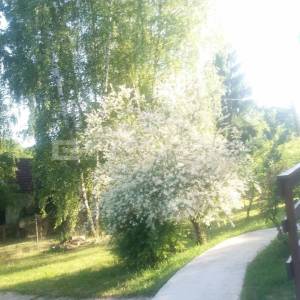 Vikendica Podgarić, Marles kućica 25 m², renovirano - BEZ PROVIZIJE!