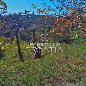 VRTLINOVEC, VINOGRAD I VOĆNJAK
