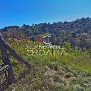 VRTLINOVEC, VINOGRAD I VOĆNJAK