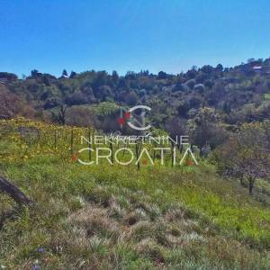 VRTLINOVEC, VINOGRAD I VOĆNJAK