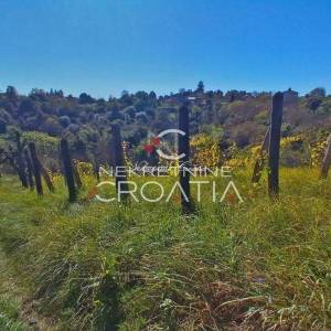 VRTLINOVEC, VINOGRAD I VOĆNJAK