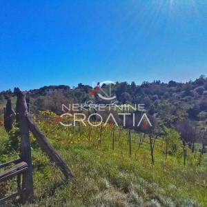 VRTLINOVEC, VINOGRAD I VOĆNJAK