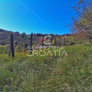 VRTLINOVEC, VINOGRAD I VOĆNJAK