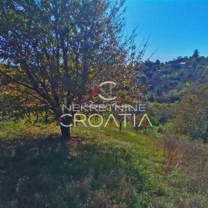 VRTLINOVEC, VINOGRAD I VOĆNJAK
