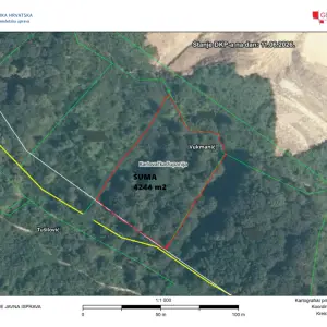 VUKMANIĆ: ŠUMA površine 4244 m2, BUKVA, GRAB