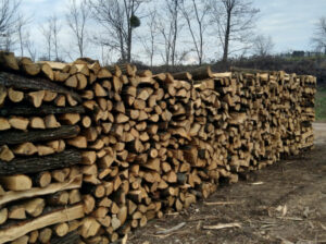 Prodajem drva za ogrjev