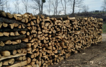 Prodajem drva za ogrjev