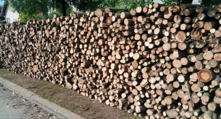 Ogrijevna drva siječenica Slavonija