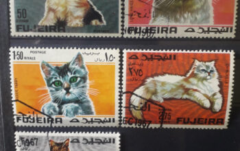 Mark LOT br. 190 – FUJEIRA (UAE) – mačke