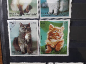 Mark LOT br. 199 – SARJAH (UAE) – mačke