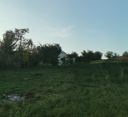 Vikendica na Borincima (Vinkovci) 24m2 / zemljište 3.021 m2