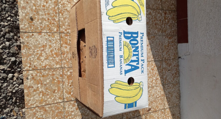 Prodajem bananko kutije